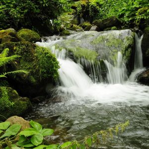 Waterfall_in_Mtirala_National_Park